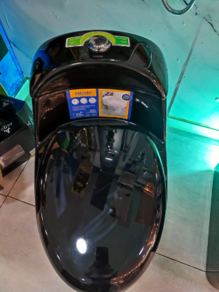 Sanitario Elegance Negro