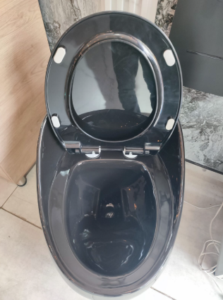 Sanitario Tipo Huevo S1B Negro