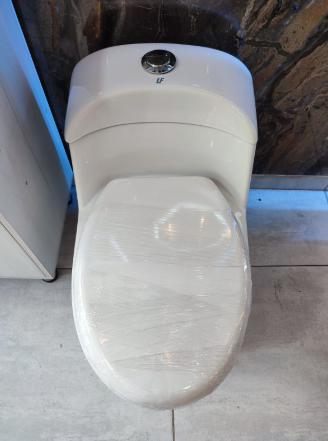 Sanitario A1